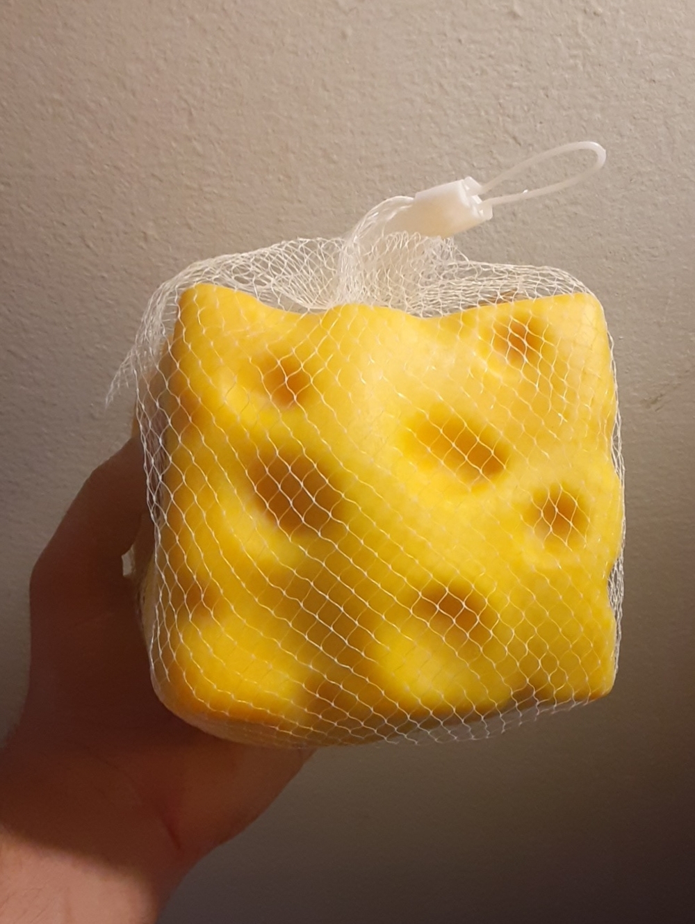 HUGE cheese Squishy Slow Rebound